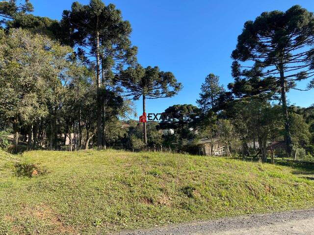 Área para Venda em São Bento do Sul - 4